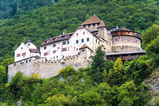 Château de Vaduz au liechtenstein