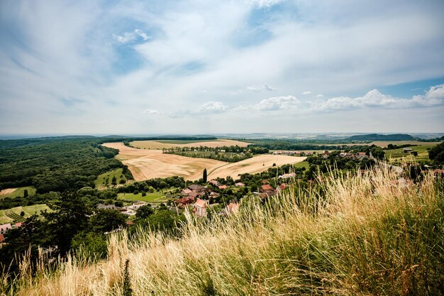 Photo château de vignobles devicky palava région de moravie république tchèque ruine romantique à palava et devin la plus haute montagne des collines de pavlov vacances de randonnée en république tchèque