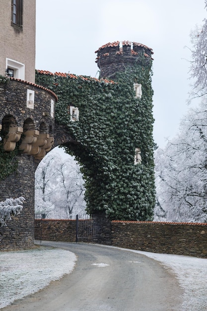 Chateau Zleby en hiver République Tchèque