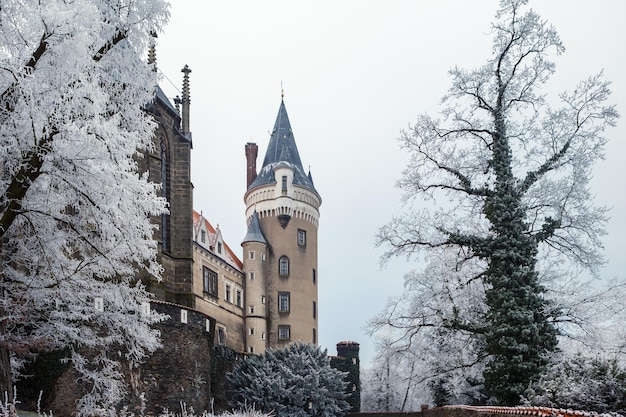 Chateau Zleby en hiver République Tchèque