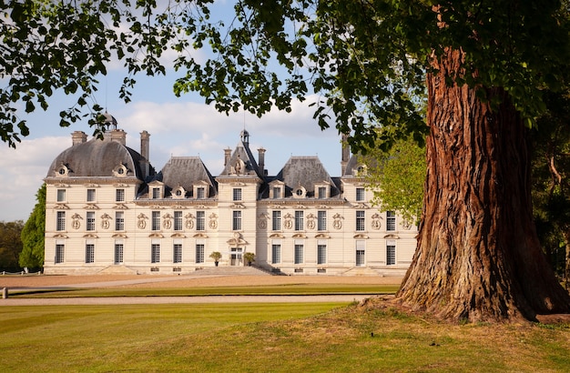 Châteaux de la Loire - Cheverny élégant avec beau parc.