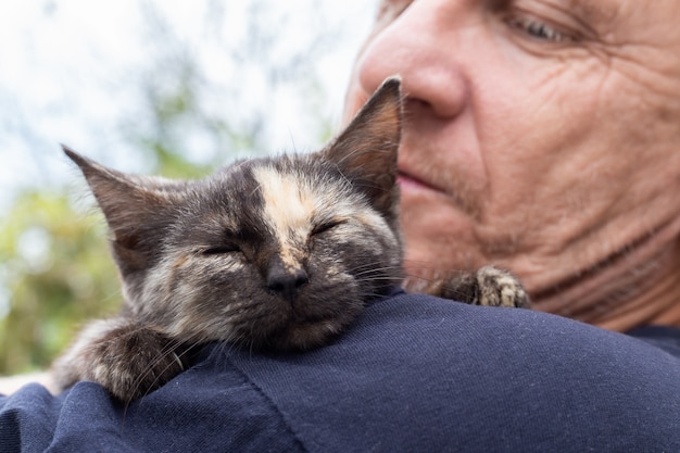 Un chaton avec une bande sur le nez dort sur l'épaule d'un homme adulte. Amour pour les animaux.