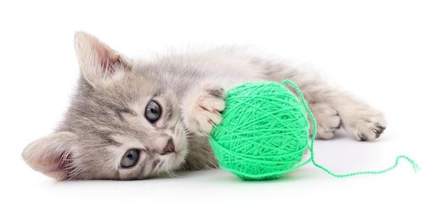 Chaton avec une boule de fil