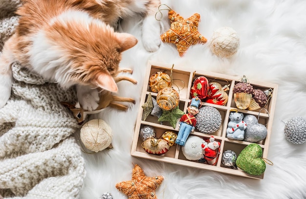 Chaton rouge et une boîte de décorations de Noël sur un tapis moelleux sur fond clair Fond de Noël