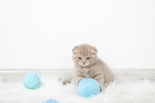 Le chaton tient une boule de fil avec ses pattes. Chaton joue avec des boules de fil. Chaton dans une pièce lumineuse