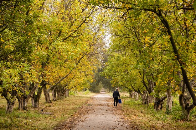 chaude journée paisible dans le parc d'automne