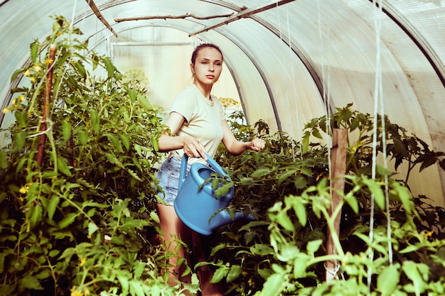 Photo chaudière avec des plants de tomates jeune femme caucasienne arrosant la végétation à partir d'un réservoir d'arrosage de jardin