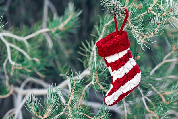 Chaussette rayée suspendue à un arbre de Noël