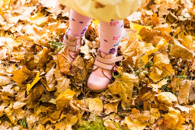 Chaussures enfants roses et feuilles jaunes. Nature d'automne