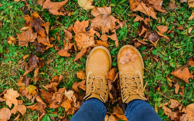 Chaussures avec une feuille d'en haut en automne