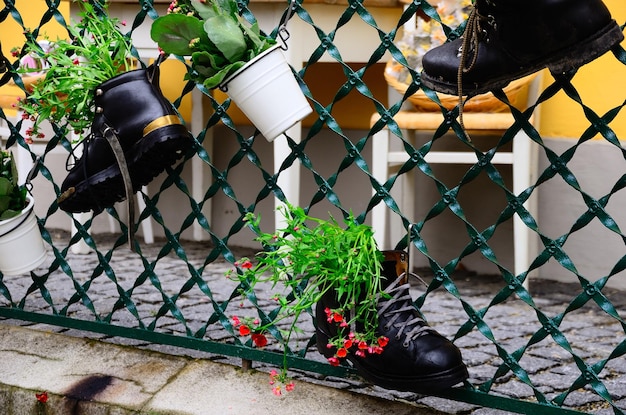 Chaussures et fleurs