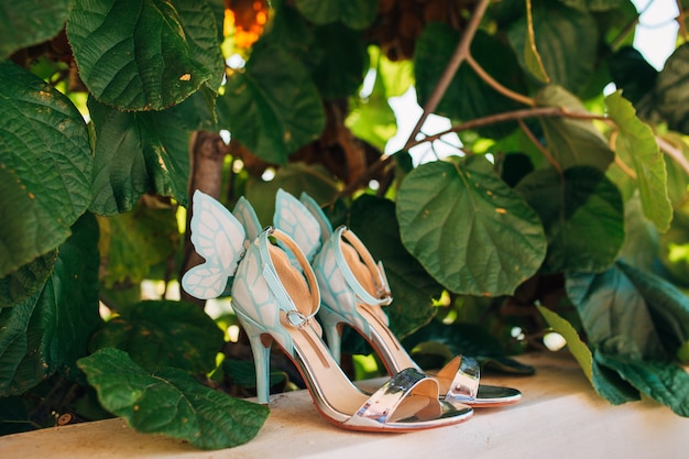 Chaussures de mariage d'une mariée dans les feuilles d'un kiwi