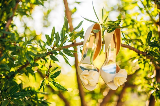 Les chaussures de mariage de la mariée sont accrochées à une branche d'olivier