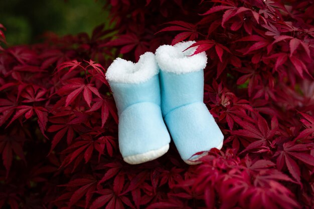 Chaussures pour enfants sur une feuille rouge vif