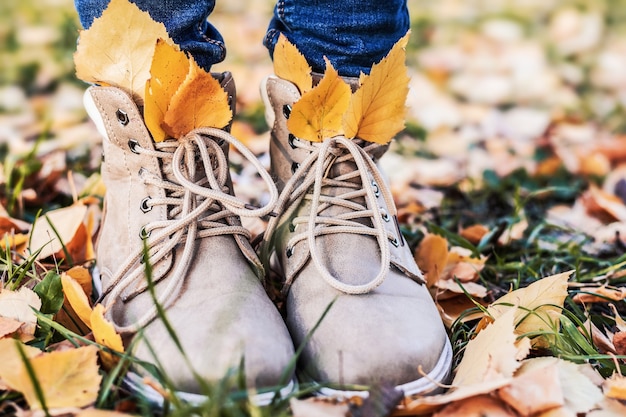 Chaussures pour femmes sur feuillage coloré en automne