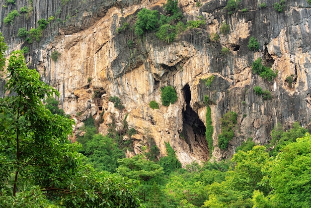 chauve-souris, chauve-souris, sortie, chauve-souris, dans, phuphaman, khonkaen, thaïlande