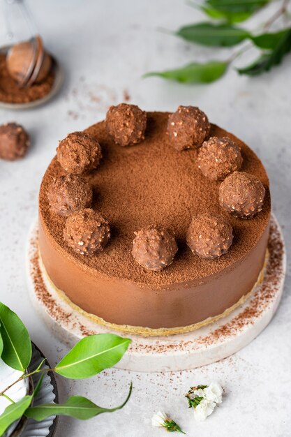 Cheesecake froid au chocolat cru à la truffe et poudre de cacao