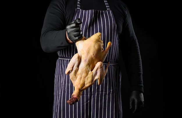 Chef de l'homme dans un tablier bleu rayé et des vêtements noirs se dresse sur un fond noir et tient un canard dans sa main pour cuisiner
