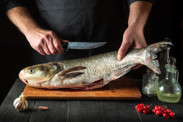 Photo le chef prépare la carpe argentée dans la cuisine du restaurant préparation pour couper le poisson avec un couteau