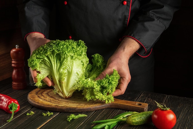 Le chef professionnel prépare des aliments diététiques à partir de laitue Arracher les feuilles vertes sur la table de la cuisine