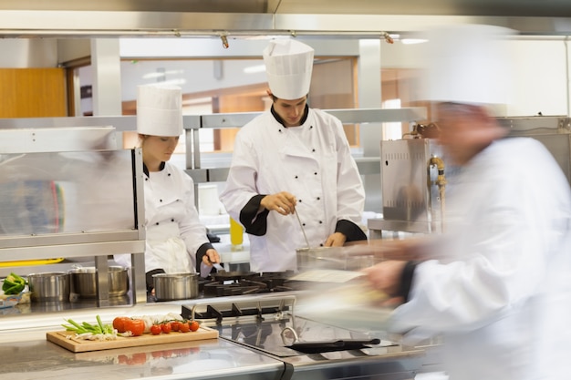 Chefs occupés au travail dans la cuisine