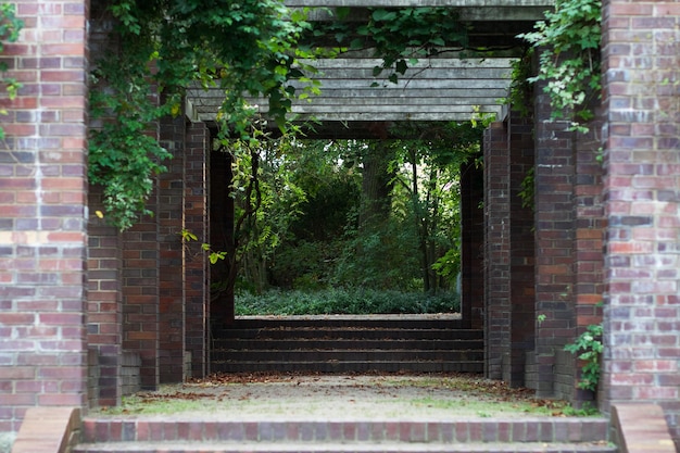 Un chemin avec un abri dans le jardin botanique de la ville de Poznan, Pologne