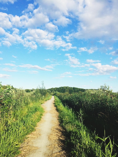 Photo un chemin au milieu d'un champ d'herbe contre le ciel