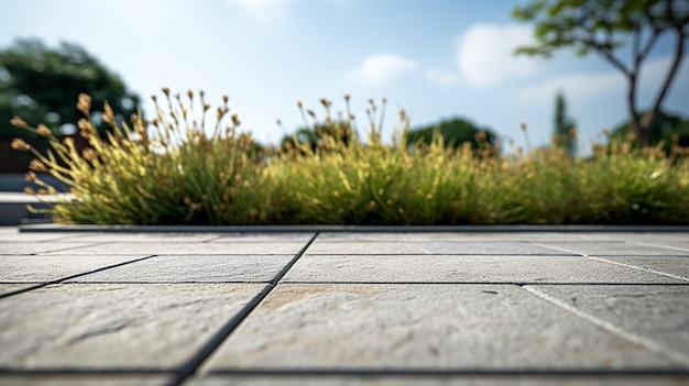 Chemin en béton avec bordure verte