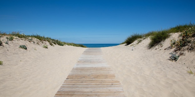 chemin en bois accès côte accès sable plage entrée océan mer atlantique