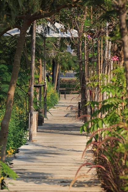 Chemin en bois dans le jardin