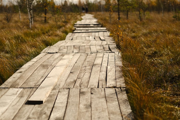 Photo chemin en bois sur le marais à yelnya en biélorussie