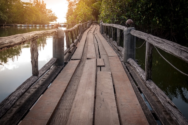 Chemin de bois passerelle sur la rivière et à travers la forêt tropicale