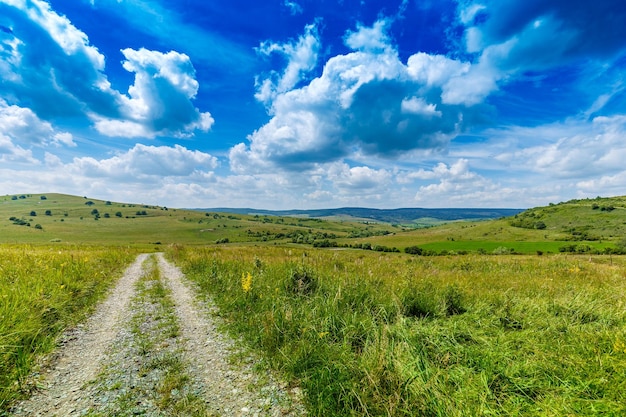 Chemin de campagne sur le terrain en vert