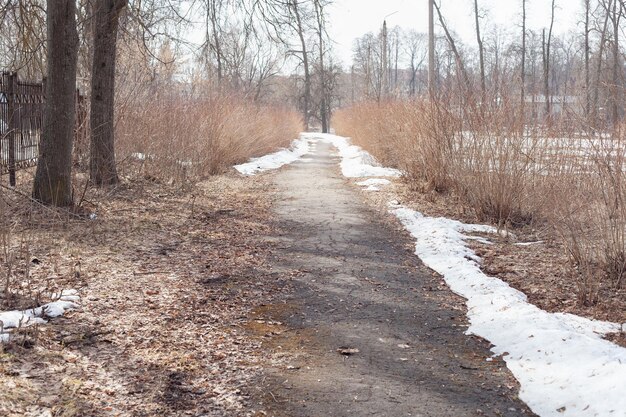 Un chemin couvert de givre dans le parc en automne