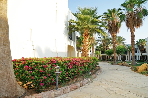 Chemin dans le beau jardin d'un hôtel de luxe