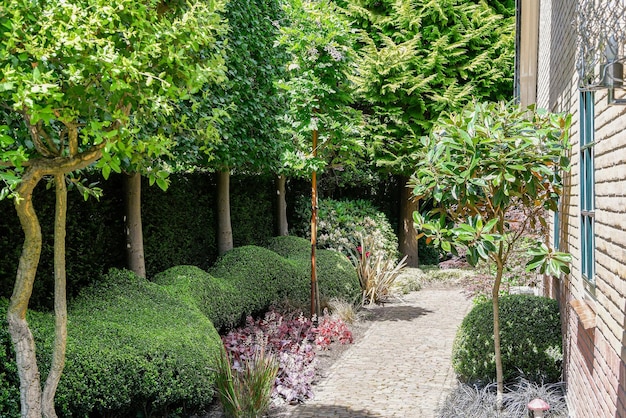 Un chemin dans un jardin avec des arbres et des haies