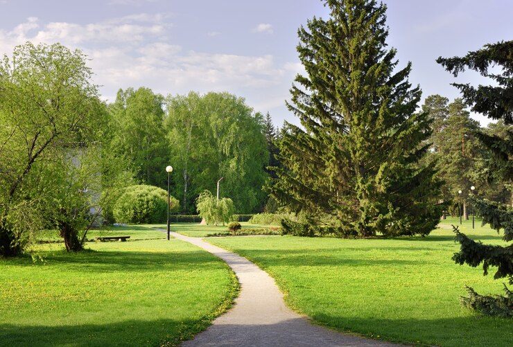 Un chemin dans le jardin paysager Grands sapins feuillage frais des arbres herbe sur la pelouse