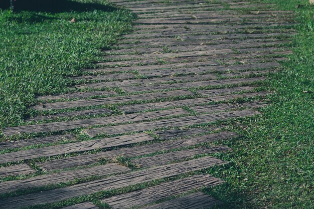 Chemin dans le jardin, les pelouses vertes avec des chemins de plancher en bois