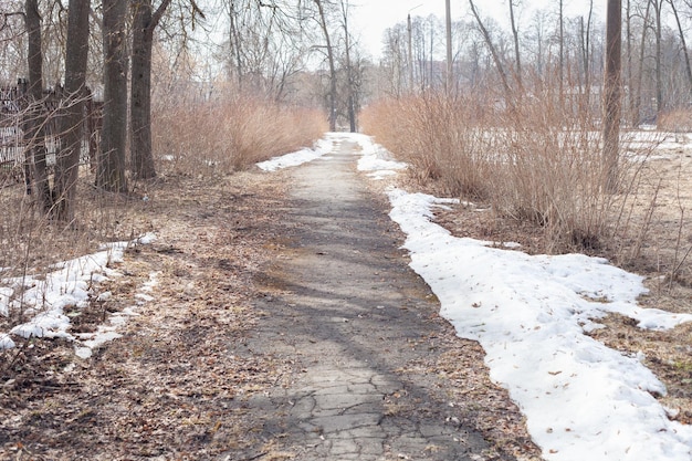 Un chemin dans un parc abandonné au début de l'hiver