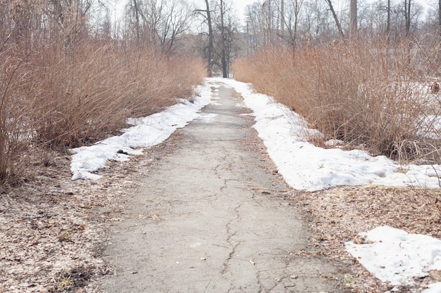 Un chemin dans un parc abandonné au début de l'hiver