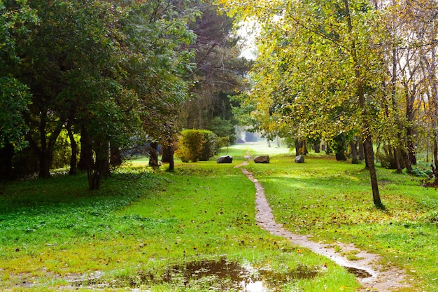 Chemin dans le parc d'automne