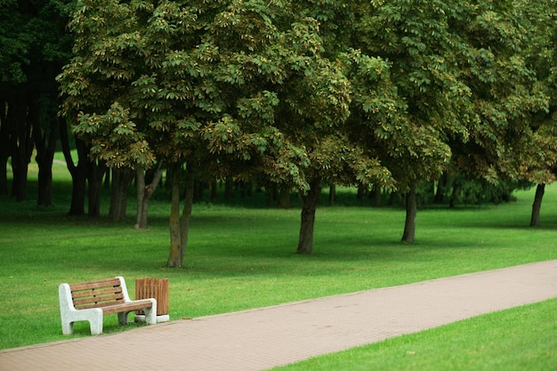 Un chemin dans un parc d'été de la ville et un banc solitaire pour se reposer un paysage urbain un endroit pour une promenade dans le parc