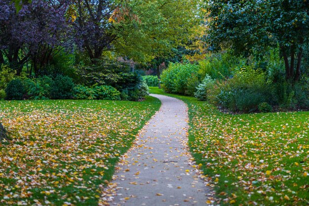 un chemin dans un parc avec des feuilles dessus et un chemin qui dit tomber