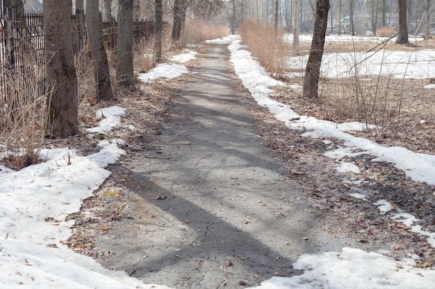 Un chemin dans le parc sur les flancs de la première neige