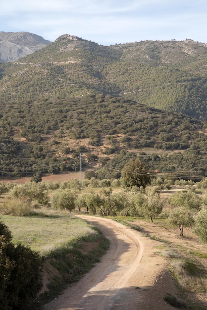 Chemin dans le parc national de Sierra Magina à Jaen, Espagne
