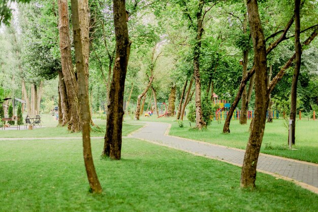 Chemin dans le parc avec pelouses