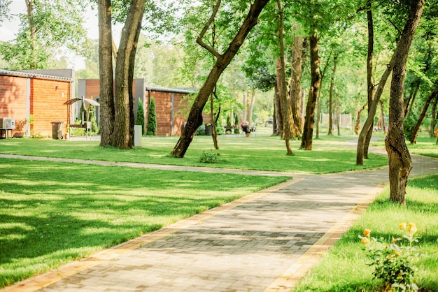 Chemin dans le parc avec pelouses