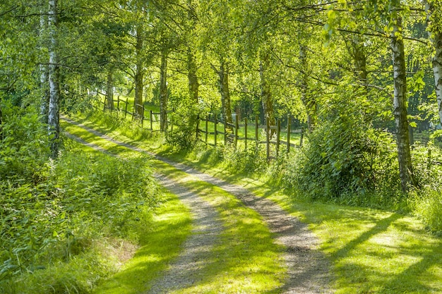 le chemin du champ idyllique