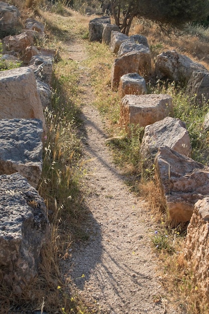 Chemin du matin ensoleillé dans les rochers