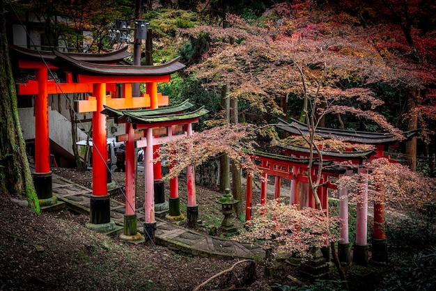 Photo chemin du sanctuaire japonais en automne